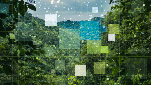 AI e Sostenibilità Ambientale