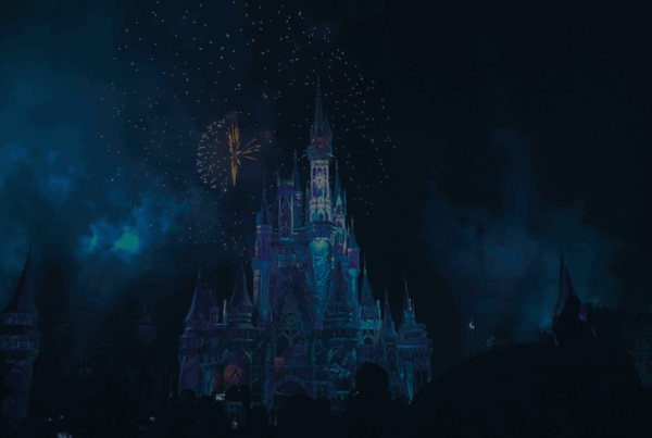 Disneyland Castle lit up at night with fireworks, seen from the crowd